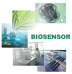 biosensor - imagen google