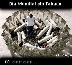 Día Mundial sin Tabaco 2010